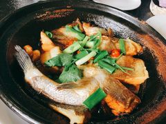 生焖鲈鱼-喜洲翰林餐厅(董家百年老宅店)