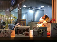 -1013 PET SHOP 宠物商店(近铁城市广场店)