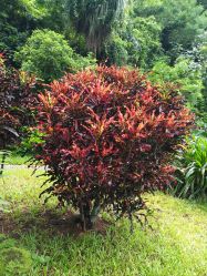 -北京市朝阳区妇幼保健院(南院区)