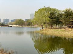 -大兴滨河森林公园