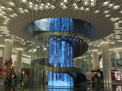 -五缘湾湿地公园