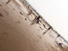 -日照海滨国家森林公园