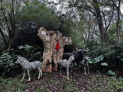 -海南热带野生动植物园