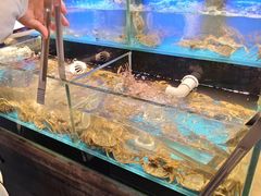 -苏格里岛自助烤肉海鲜火锅(成都金牛万达店)