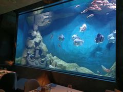 -渔火·特色餐厅(佘山世茂洲际酒店)