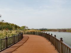 -天津东丽湖风景区