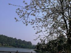 -南国桃园旅游度假区