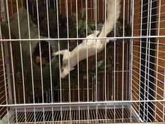 -信不信由你博物馆