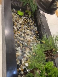 -芳朵美容养生SPA