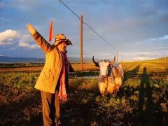 -青海湖国家重点风景名胜区