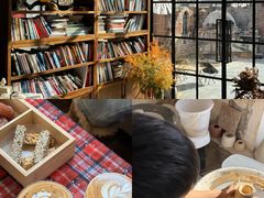 -陶野咖啡·面包披萨