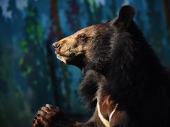 -济南野生动物世界