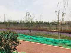 -洨河生态公园