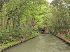 -同里国家湿地公园