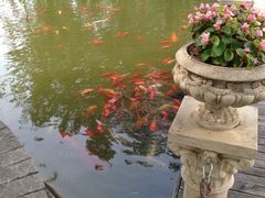 iphone_upload_pic-月亮河温泉度假酒店