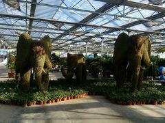 -天源吉布世温泉水乐园