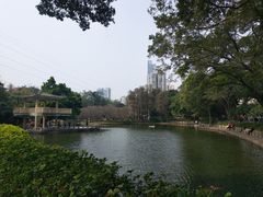 -晓港公园