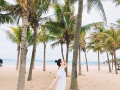 -玫瑰海岸文化旅游度假区