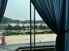 -羲和雅苑•北京烤鸭(乐园道万象城店)