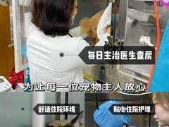 -美联众合动物医院·24h转诊中心