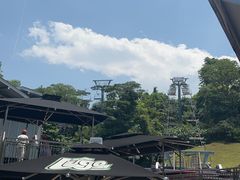 -圣淘沙天际线斜坡滑车