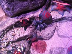 -沈阳海洋探索中心