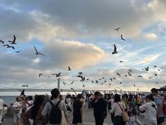 -星海广场