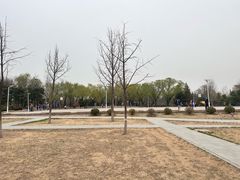 -太阳宫公园