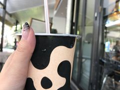 -瑞穗牧场