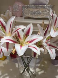 -北京俪婴妇产医院(朝阳大悦城店)