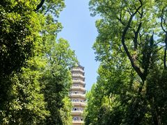 -灵谷景区