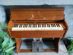 -腾爱熊猫咖啡生活馆(老东门店)