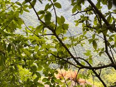 -终南山南五台景区