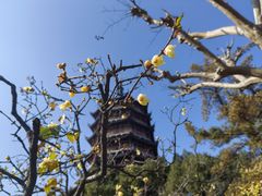 -北寺塔
