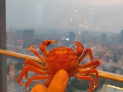 -视界美食自助餐厅·石家庄希尔顿酒店