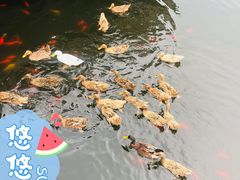 -西安汉城湖景区