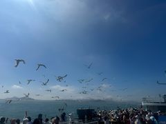 -海驴岛(荣成市)