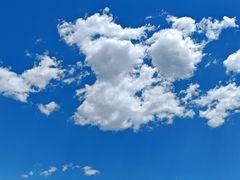 -肯德基(巴沟店)