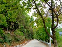 android_upload_pic-广州市石门国家森林公园