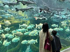 -波塞冬旅游度假区