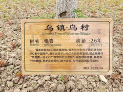 -乌村