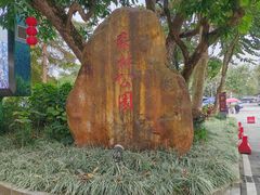-广州市流溪河国家森林公园