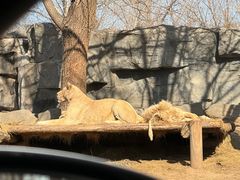 -北京野生动物园