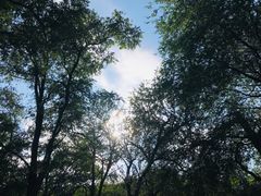 -阳台山自然风景区