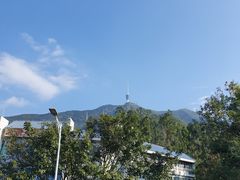 -梧桐山风景名胜区