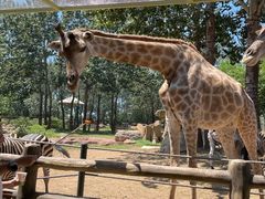 -大连森林动物园