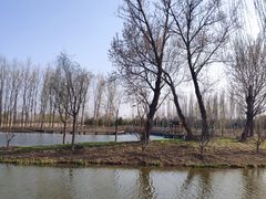 -东郊湿地公园