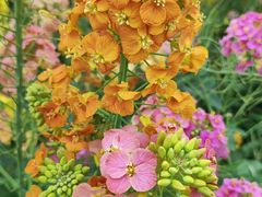 -中国天府农业博览园