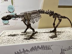 -国家自然博物馆