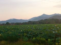-古田会议纪念馆